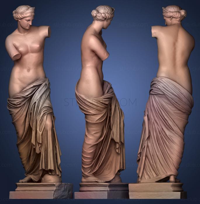 Aphrodite Of Capua